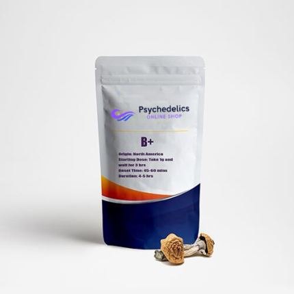 Buy Psilocybe Cubensis B+ Online